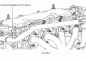 2001 Chevy Cavalier Wiring Harness Diagram 2000 Chevy Cavalier Exhaust Diagram Wiring Diagram Img 2001 Chevy Cavalier Wiring Harness Diagram 2000 Chevy Cavalier Exhaust Diagram Wiring Diagram Img