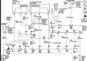 2001 Chevy Malibu Ignition Wiring Diagram 2006 Chevy Malibu Tail Light Wiring Diagram Premium Wiring Diagram 2001 Chevy Malibu Ignition Wiring Diagram 2006 Chevy Malibu Tail Light Wiring Diagram Premium Wiring Diagram