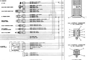 2001 Dodge Ram 1500 Pcm Wiring Diagram Dodge Ram Ecm Wiring Diagram Wiring Diagram Inside