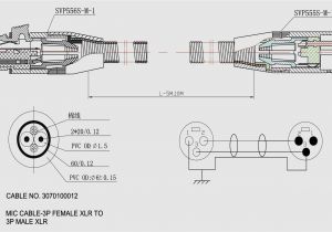 2001 Dodge Ram Radio Wiring Diagram Stereo Wiring Diagram 2003 Dodge Ram Wiring Diagram Center