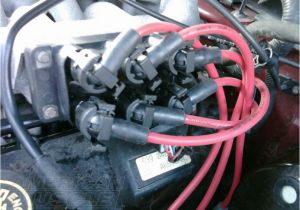 2001 ford Mustang Spark Plug Wiring Diagram All About Mustang Spark Plugs and Ignition Components