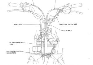 2001 Honda 400ex Wiring Diagram 2001 Honda Trx400ex Fourtrax Service Repair Manual