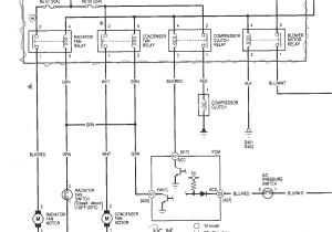 2001 Honda Odyssey Radio Wiring Diagram Wiring Diagram Honda Odyssey 2006 Wiring Diagram Schemas
