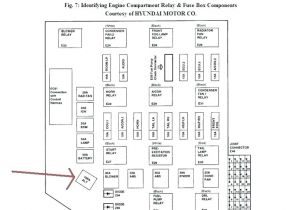 2001 Hyundai sonata Radio Wiring Diagram 99 Hyundai sonata Fuse Box Diagram Wiring Diagram 2001 Hyundai sonata Radio Wiring Diagram 99 Hyundai sonata Fuse Box Diagram Wiring Diagram