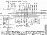 2001 Kawasaki Bayou 220 Wiring Diagram 2002 Kawasaki Ninja Wiring Diagram Wiring Diagram
