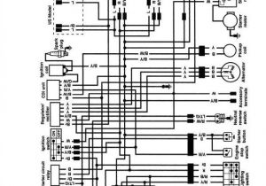 2001 Kawasaki Bayou 220 Wiring Diagram Bayou Wiring Schematic Wiring Diagram