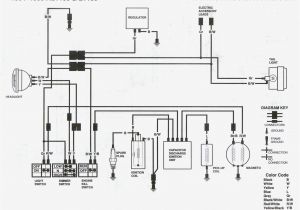 2001 Kawasaki Bayou 220 Wiring Diagram Bayou Wiring Schematic Wiring Diagram