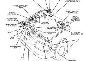 2001 Kia Sportage Wiring Diagram Sportage Wiring Schematic Data Schematic Diagram