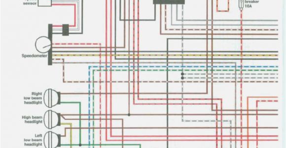 2001 Polaris Scrambler 500 Wiring Diagram 2001 Polaris Sportsman 400 Wiring Diagram Use Wiring Diagram