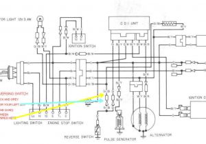 2001 Polaris Trailblazer 250 Wiring Diagram 2000 Polaris Trailblazer 250 Wiring Diagram Wiring Schematic
