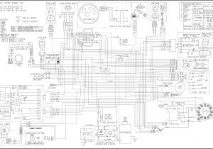 2001 Polaris Trailblazer 250 Wiring Diagram Polaris Engine Diagram Wiring Diagram Option