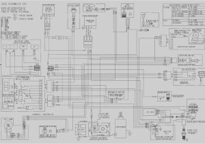 2001 Polaris Trailblazer 250 Wiring Diagram Polaris Wiring Schematic Blog Wiring Diagram