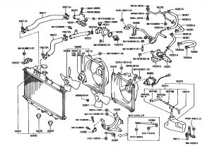 2001 toyota Camry Wiring Diagram 2004 Camry Engine Diagram Wiring Diagram sort