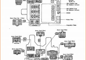 2001 toyota Camry Wiring Diagram toyota Power Window Switch Wiring Diagram Colors Wiring Diagram 2001 toyota Camry Wiring Diagram toyota Power Window Switch Wiring Diagram Colors Wiring Diagram