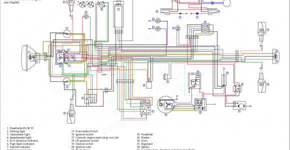 2001 Yamaha Warrior 350 Wiring Diagram is 350 Wiring Diagram Wiring Diagram