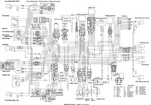 2001 Yamaha Warrior 350 Wiring Diagram Yfm 350 Wiring Diagram Wiring Diagram Center 2001 Yamaha Warrior 350 Wiring Diagram Yfm 350 Wiring Diagram Wiring Diagram Center
