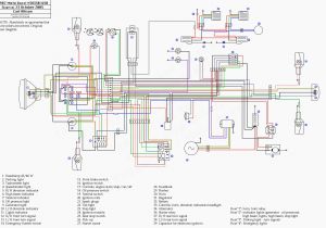 2001 Yamaha Warrior Wiring Diagram 2005 Weekend Warrior Wiring Diagram Wiring Diagram Database