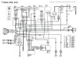 2001 Yamaha Warrior Wiring Diagram Ag Wiring Diagram Schema Diagram Database