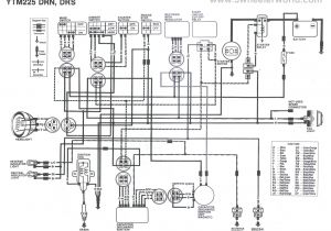2001 Yamaha Warrior Wiring Diagram Ag Wiring Diagram Schema Diagram Database