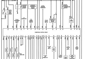 2002 Chrysler town and Country Wiring Diagram 2000 Chrysler Voyager Wiring Harness Wiring Diagram Info 2002 Chrysler town and Country Wiring Diagram 2000 Chrysler Voyager Wiring Harness Wiring Diagram Info