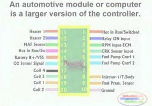 2002 Dodge Dakota Pcm Wiring Diagram Ecm Circuit Wiring Diagram Youtube