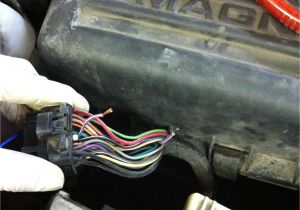 2002 Dodge Dakota Pcm Wiring Diagram Fixing A Dakota Durango No Bus Pcm for Under 5 Dodgeforum Com
