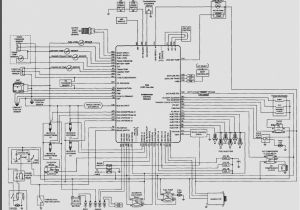 2002 Dodge Ram 1500 Fuel Pump Wiring Diagram Tail Light Wiring Diagram Fresh Wiring Harness for 2002 Dodge Ram