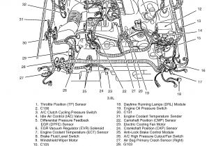 2002 ford F150 4.2 Spark Plug Wiring Diagram Engine Diagram for Mazda 6 V6 3 0 Dohc Wiring Diagram Blog 2002 ford F150 4.2 Spark Plug Wiring Diagram Engine Diagram for Mazda 6 V6 3 0 Dohc Wiring Diagram Blog