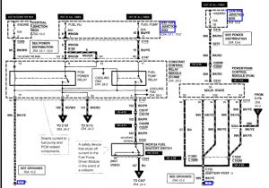 2002 ford Focus Cooling Fan Wiring Diagram Alldatadiy Com 2001 ford Escort Zx2 L4 2 0l Dohc Vin 3 2002 ford Focus Cooling Fan Wiring Diagram Alldatadiy Com 2001 ford Escort Zx2 L4 2 0l Dohc Vin 3