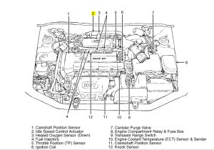 2002 Hyundai Accent Wiring Diagram 2009 Hyundai Accent Engine Diagram Wiring Diagram Load