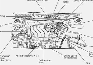 2002 Jetta Wiring Diagram Wiring Diagram for 1997 Vw Cabrio Cruisecontrol Get Free Image About