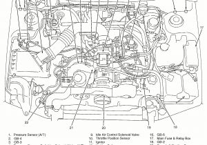 2002 Subaru Wrx Wiring Diagram Engine Further Subaru Engine Wiring Harness Diagram On Car Engine 2002 Subaru Wrx Wiring Diagram Engine Further Subaru Engine Wiring Harness Diagram On Car Engine