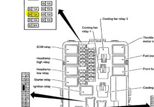 2002 Tacoma Tail Light Wiring Diagram toyota Tail Light Wiring Diagram Eightstrings 2002 Tacoma Tail Light Wiring Diagram toyota Tail Light Wiring Diagram Eightstrings