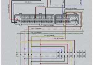 2002 toyota Corolla Stereo Wiring Diagram 2000 toyota Wiring Harness Diagram Wiring Diagram Inside