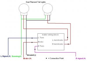 2002 toyota Tacoma Tail Light Wiring Diagram toyota Tail Light Wiring Diagram Online Wiring Diagram 2002 toyota Tacoma Tail Light Wiring Diagram toyota Tail Light Wiring Diagram Online Wiring Diagram
