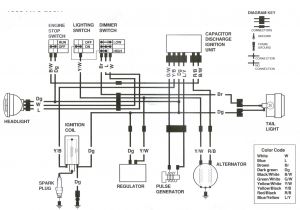 2002 Yamaha Warrior 350 Wiring Diagram Xtreme Wiring Diagram Wiring Diagram 2002 Yamaha Warrior 350 Wiring Diagram Xtreme Wiring Diagram Wiring Diagram