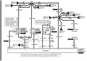 2003 ford Expedition Wiring Diagram 2000 ford Expedition Horn Wiring as Well as 2000 ford Expedition