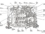 2003 ford Focus Spark Plug Wire Diagram ford Explorer Fuse Diagram Further ford Focus 2003 Evap System