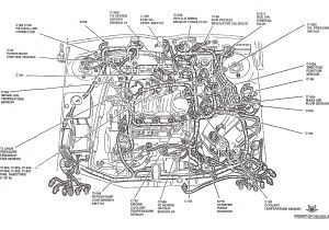 2003 ford Focus Spark Plug Wire Diagram ford Explorer Fuse Diagram Further ford Focus 2003 Evap System