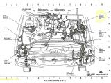 2003 ford Focus Spark Plug Wire Diagram Wiring Diagrams 2003 ford Ranger 3 0 Wiring Diagram Post