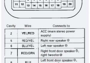 2003 Honda Civic Wiring Diagram 2002 Honda Accord Wiring Harness Diagram Wiring Diagram Datasource 2003 Honda Civic Wiring Diagram 2002 Honda Accord Wiring Harness Diagram Wiring Diagram Datasource