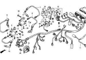 2003 Honda Vtx 1800 Wiring Diagram Honda Vtx 1800 Wiring Diagram Wiring Diagram 2003 Honda Vtx 1800 Wiring Diagram Honda Vtx 1800 Wiring Diagram Wiring Diagram