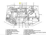 2003 Hyundai Santa Fe Wiring Diagram 2002 Hyundai Elantra Timing Belt Diagram Page 5 Wiring Diagram