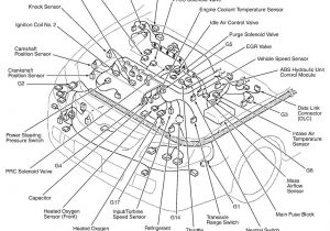 2003 Mazda Protege5 Wiring Diagram Mazda Protege Engine Diagram Wiring Diagram Option