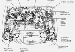 2003 Mazda Protege5 Wiring Diagram Mazda Protege Engine Diagram Wiring Diagram Option