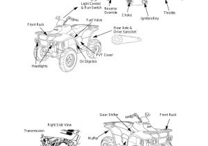 2003 Polaris Trail Boss 330 Wiring Diagram 2009 Polaris Trail Boss 330 Service Repair Manual 2003 Polaris Trail Boss 330 Wiring Diagram 2009 Polaris Trail Boss 330 Service Repair Manual