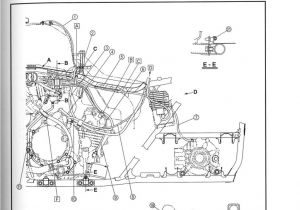 2003 Yamaha Grizzly 660 Wiring Diagram Zm 9441 2005 Yamaha Raptor Wiring Diagram Free Diagram