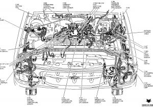 2004 ford Explorer Sport Trac Wiring Diagram 2004 ford Explorer Sport Trac Engine Diagram Blog Wiring