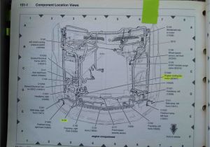 2004 ford Mustang Wiring Diagram 2004 ford Mustang Radio Wiring Diagram for Your Needs 2004 ford Mustang Wiring Diagram 2004 ford Mustang Radio Wiring Diagram for Your Needs