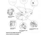 2004 Hyundai Tiburon Wiring Diagram Tiburon 2003 Electrical Connector Airbag